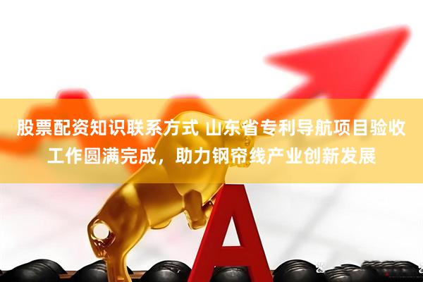 股票配资知识联系方式 山东省专利导航项目验收工作圆满完成，助力钢帘线产业创新发展