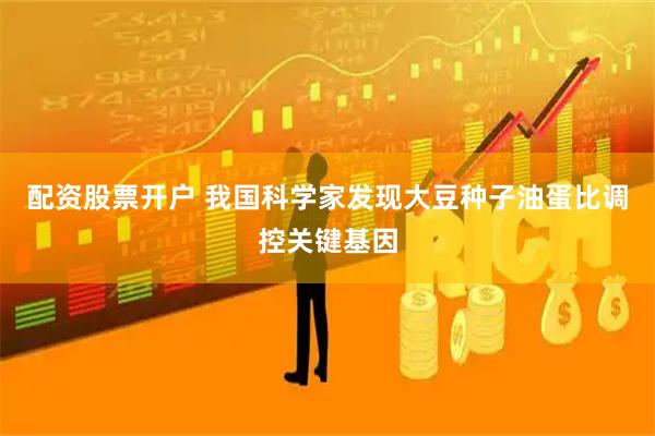 配资股票开户 我国科学家发现大豆种子油蛋比调控关键基因